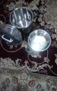 زودپز مولینکس دوقلو