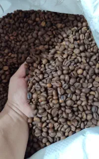 قهوه تازه رست با ترکیب عالی