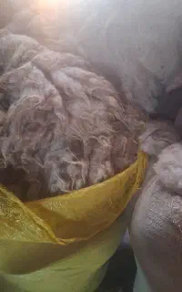 پشم گوسفند