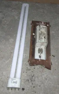 مهتابی