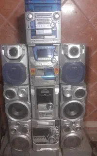 ضبط خانگی.