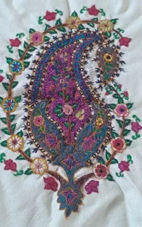 تعدادی پته