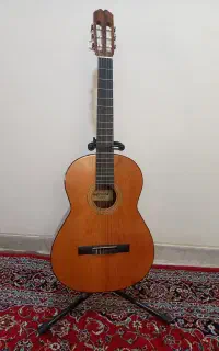 گیتار نو