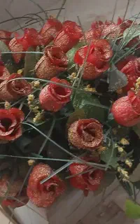 گل زیبا