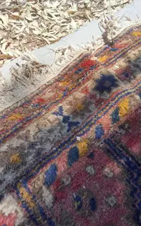 فرش