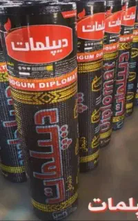 ایـزوگام دیپلمات