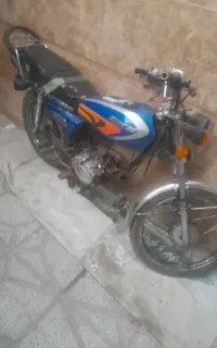 متین ویژ