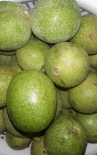 گردوباپوست