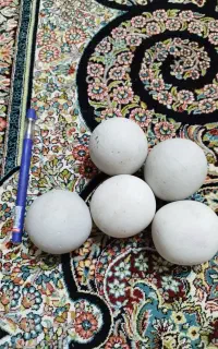 سنگ اسیاب اتیقه وکلکسیونی