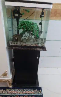 آکواریوم شرکتی