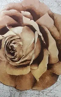 پادری فرشی تراکم بالا سالم