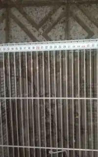 قفس در ابعاد ۶۳*۴۴ در ارتفاع ۴۲
