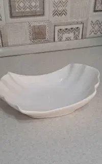 ظروف پذیرایی