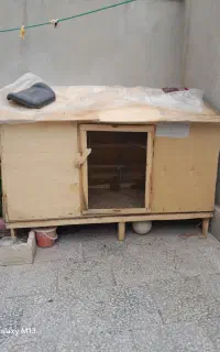 قفس کبوتر و مرغ
