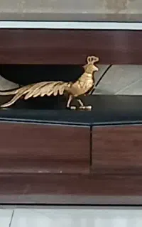 زیر تلویزیونی