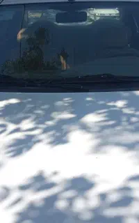 سمند lx مدل 91