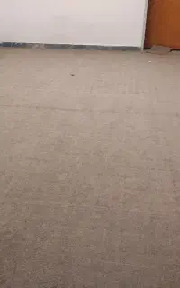 موکت