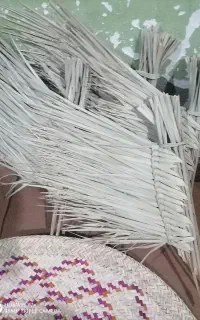 جارو دستی