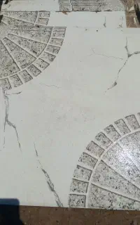 کاشی