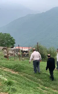زمین ییلاقی پاقلعه