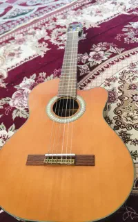 گیتار پائو چیا