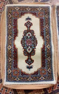 جلد پشتی اصل
