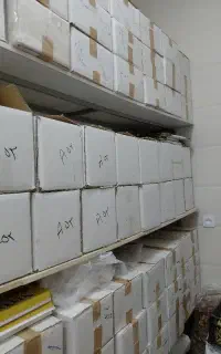 کشک کله قندی