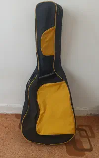 کیف گیتار