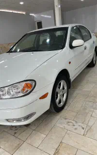 ماکسیما ۸۸ کلکسیونی
