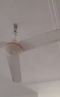 پنکه