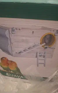 لانه جوجه