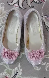 کفش مجلسی