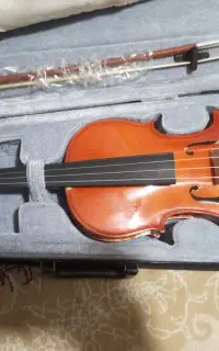 ویولن