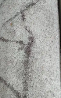 موکت پرز بلند