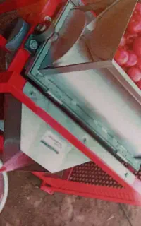 خردکردن سبزی ، آبگیری گوجه ، فروش رب خانگی