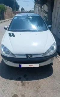 206تیپ2مدل95 دولکه رنگ
