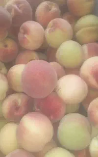 هلو پاییزی درشت