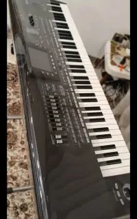 ارگ pa 3x