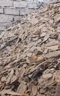 فروش نون خشک