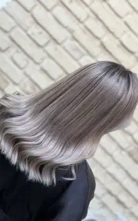 رنگ/رنگ ولایت حرفه ای