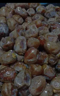خرمای برحی آبادان