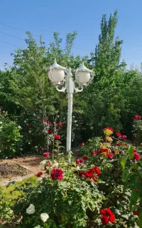 چراغ محوطه فضای سبز