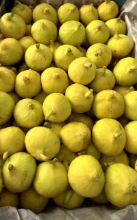 انجیر درجه یک