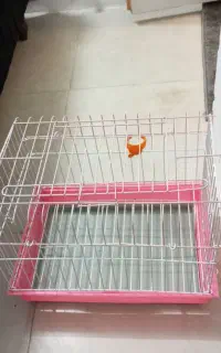 قفس خرگوش