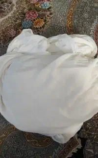 پشه بند بزرگ و سالم