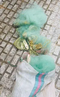 تور ماهیگیری