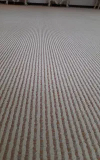 پالاز موکت