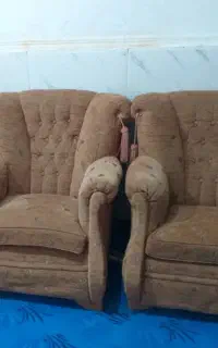 مبل ۷ ن سالم محکم و مقاوم توافقی