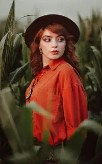 عکاسی مزرعه ذرت. فضای باز