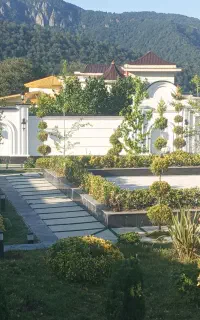علف زنی وچمنی